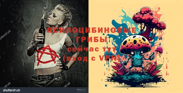 марки nbome Инта