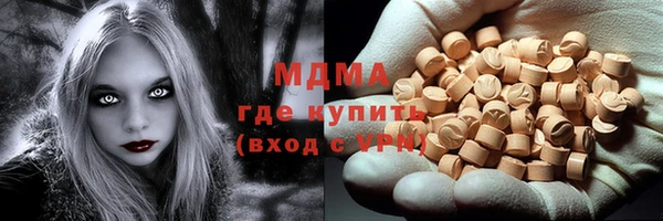 шишки Няндома
