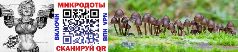 Купить где  Беломорск  Псилоцибиновые грибы MAGIC MUSHROOMS 